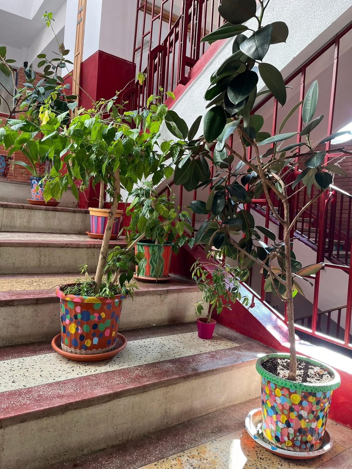 WhatsApp Image 2026-03-24 at 10.29.53 (2)